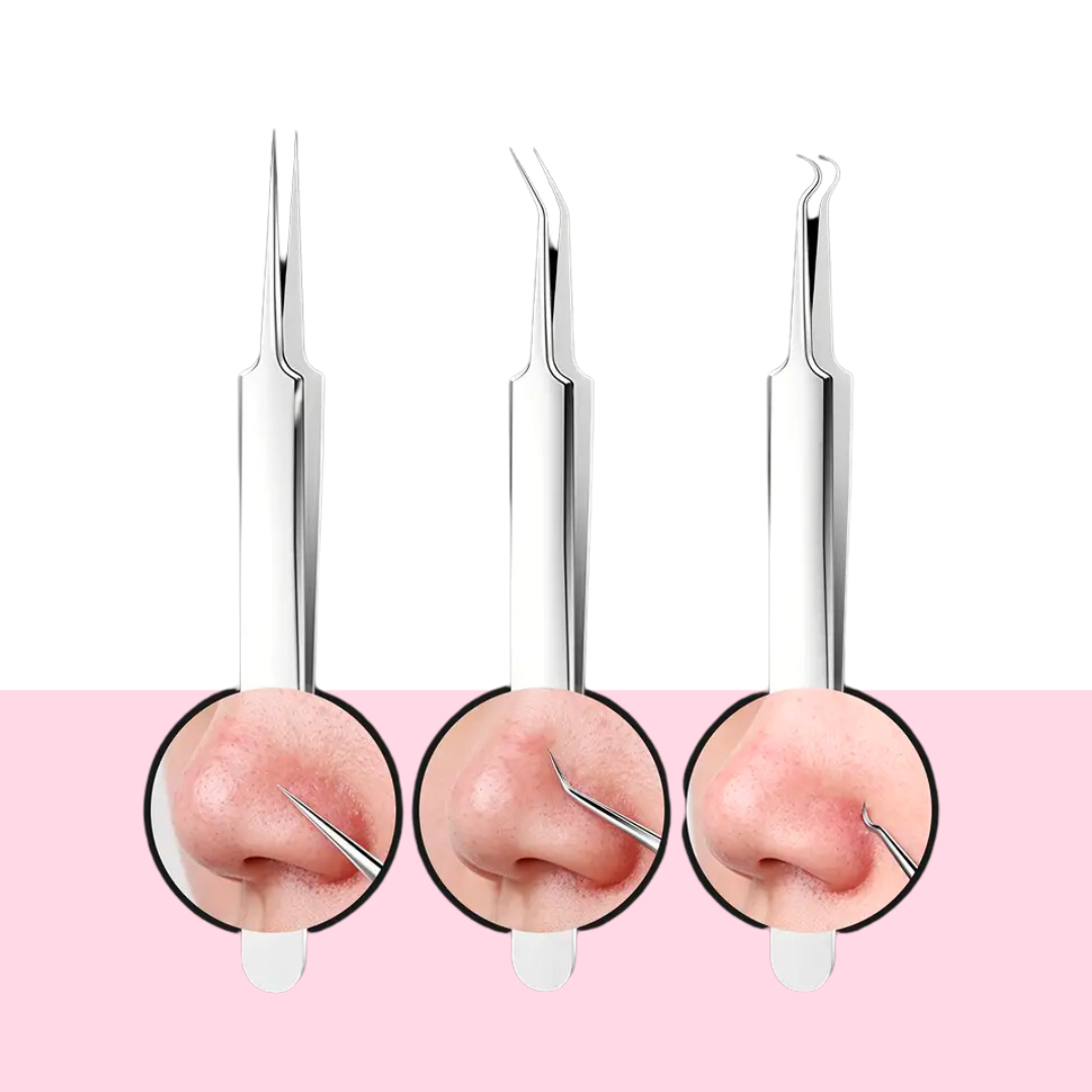 A PINÇA - LAURA ROBERG