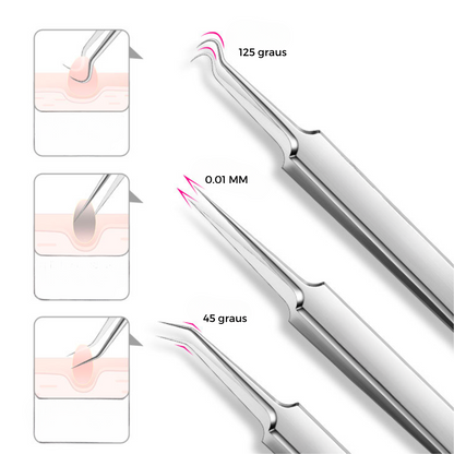 A PINÇA - LAURA ROBERG