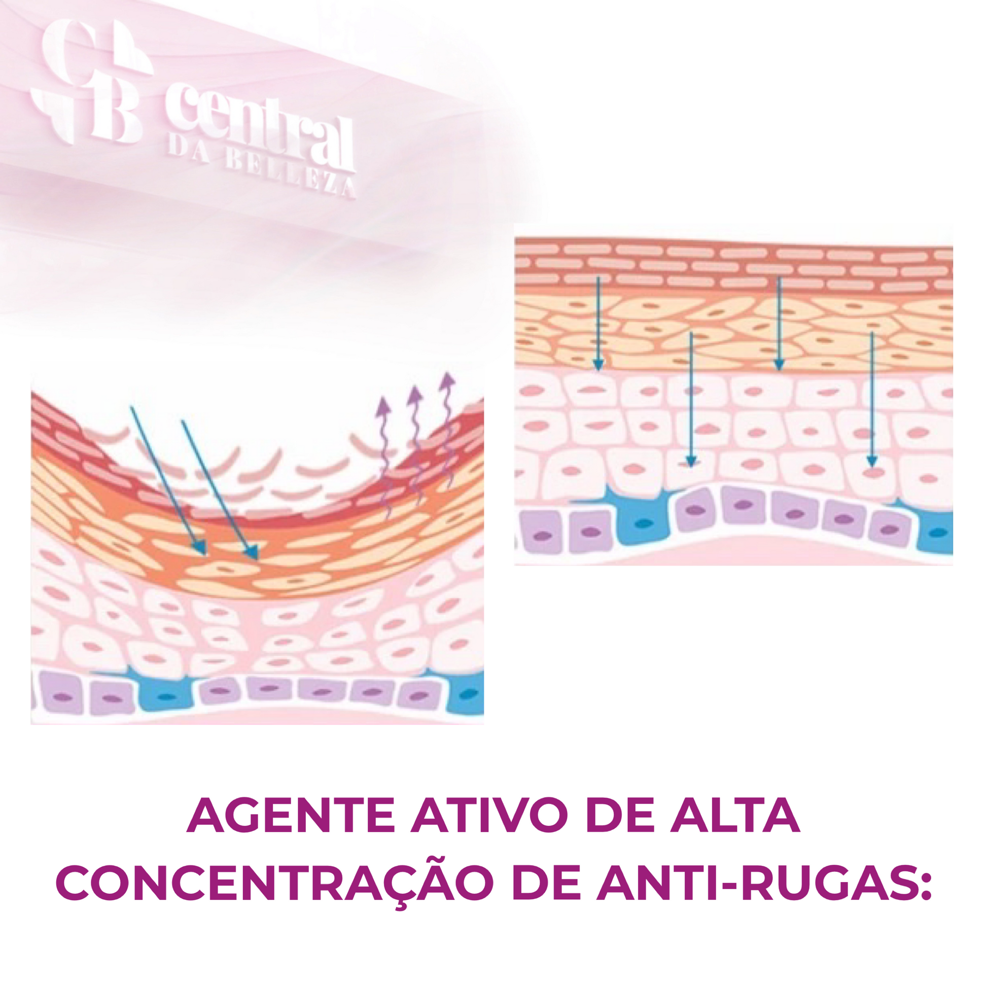 Neck Lift - Creme Firmador para Pescoço - LAURA ROBERG