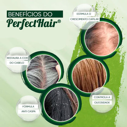 Oferta Relâmpago - Shampoo Rejuvenescedor PerfectHair - LAURA ROBERG