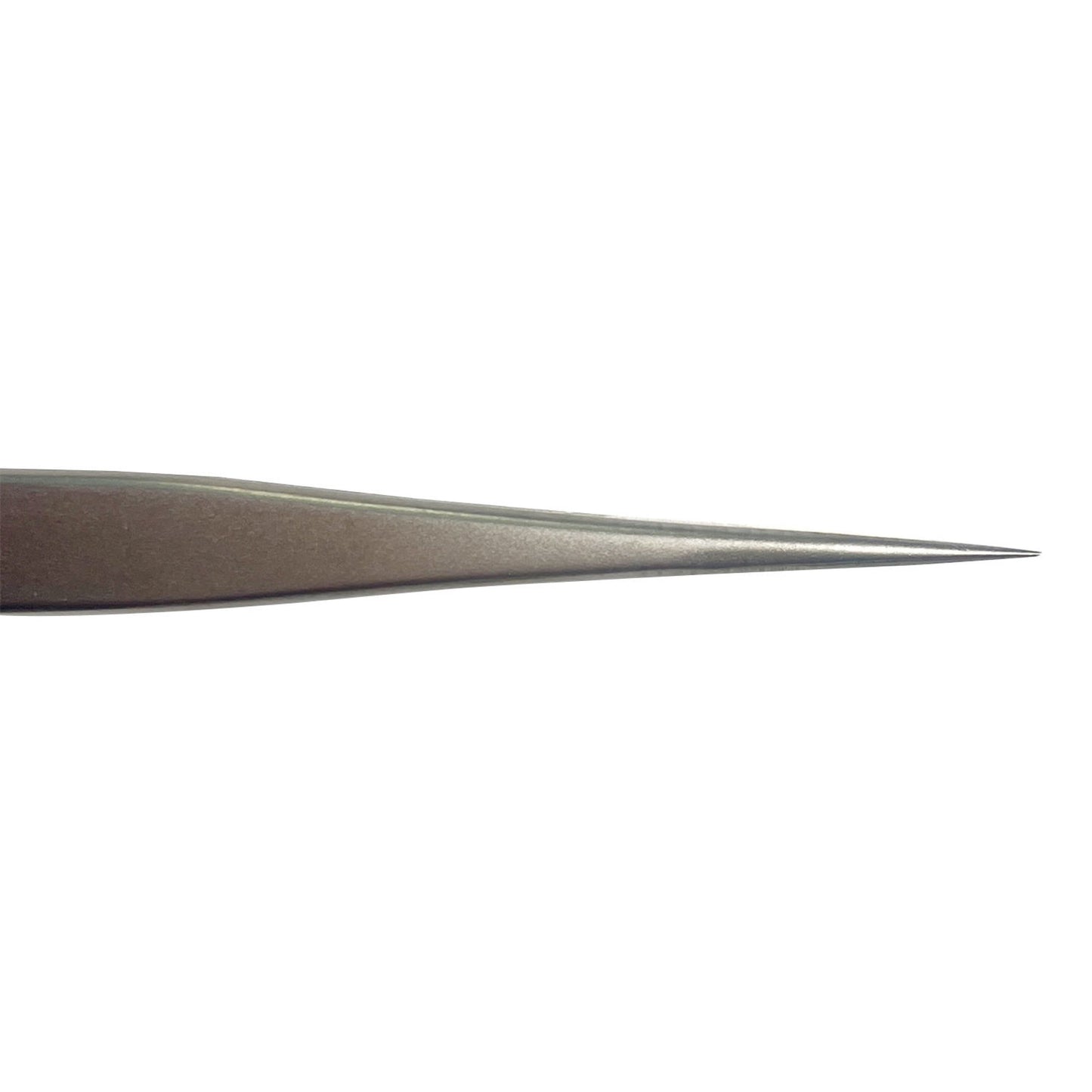 A PINÇA - LAURA ROBERG