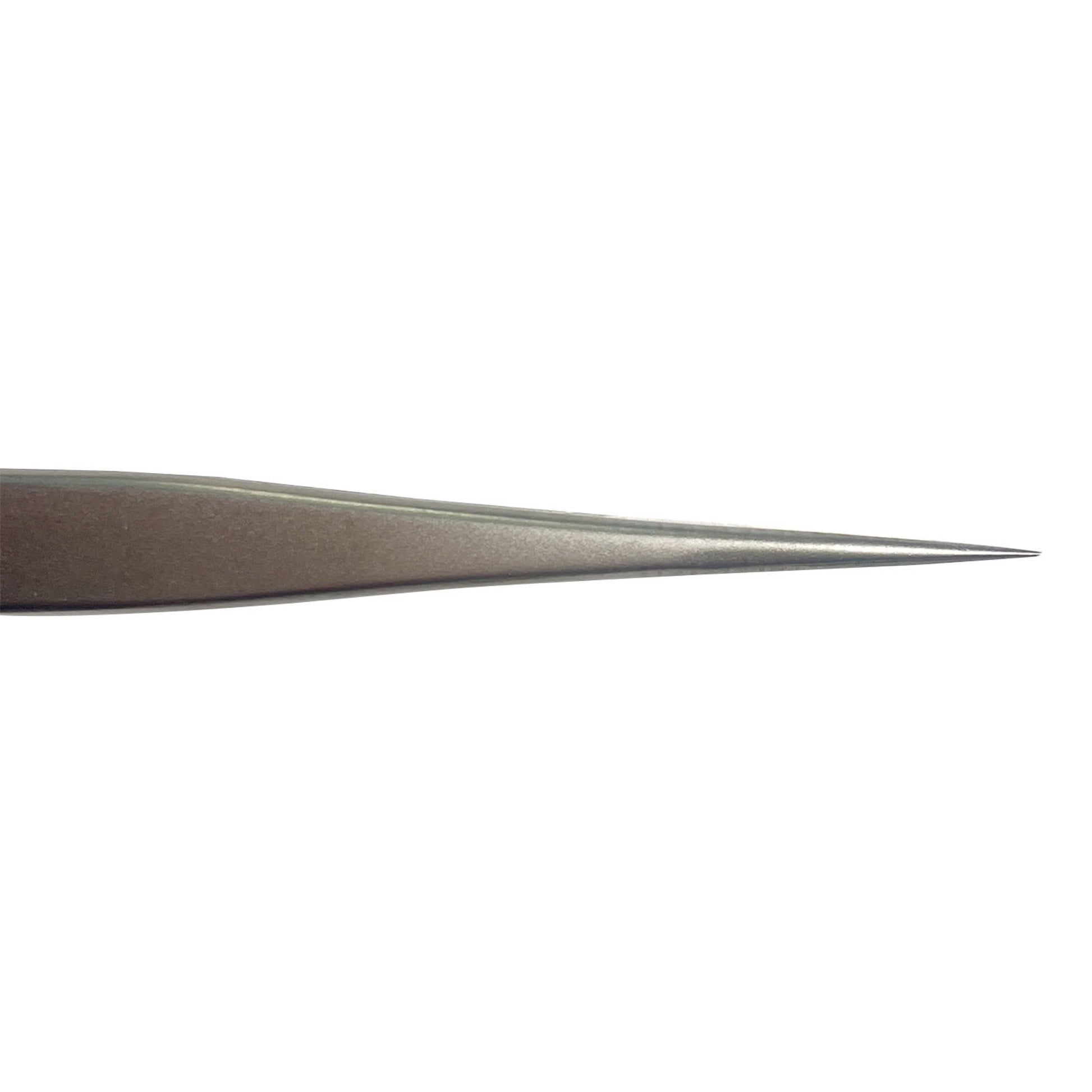 A PINÇA - LAURA ROBERG